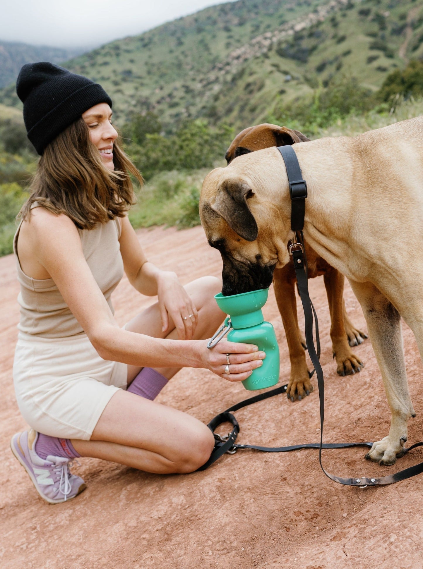 Springer Flip Dog Travel Water Bottle Springer Green