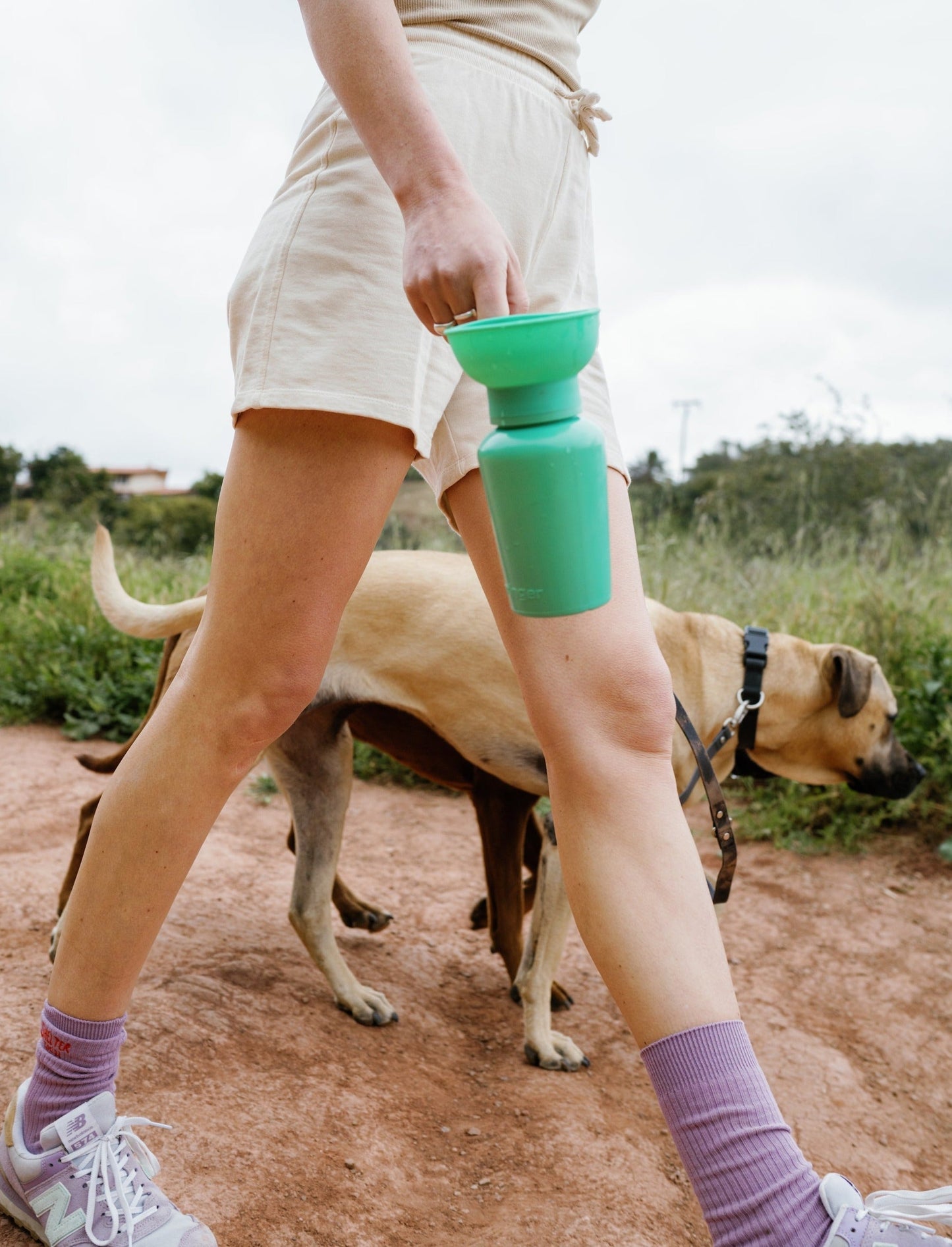 Springer Flip Dog Travel Water Bottle Springer Green