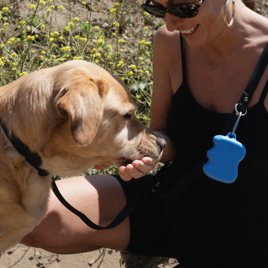 Silicone Dog Treat Dispenser Springer Blueberry