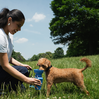 Springer Flip Dog Travel Water Bottle Blueberry