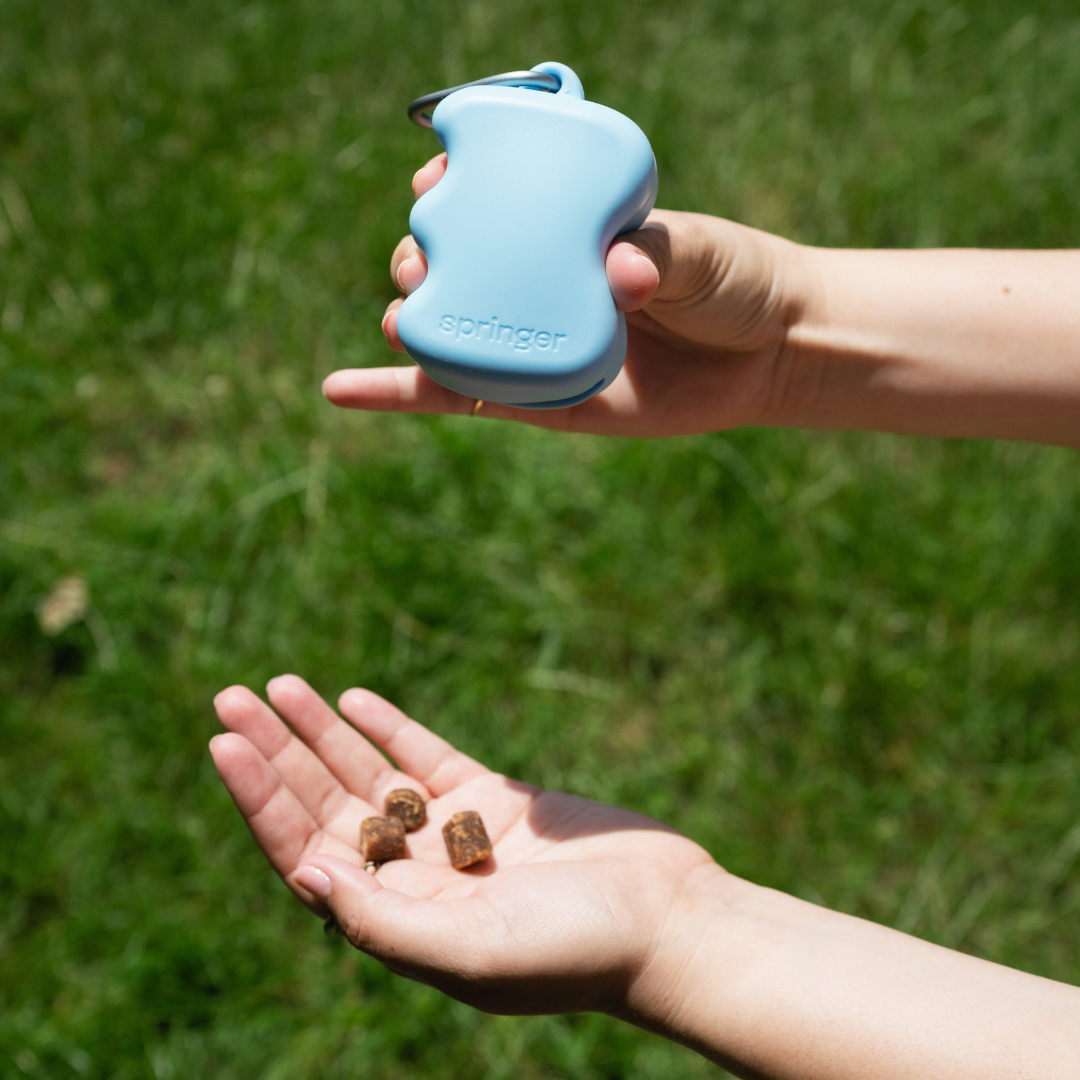 Silicone Dog Treat Dispenser Sky Blue