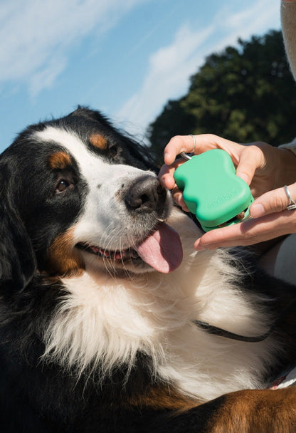 Silicone Dog Treat Dispenser Springer Green