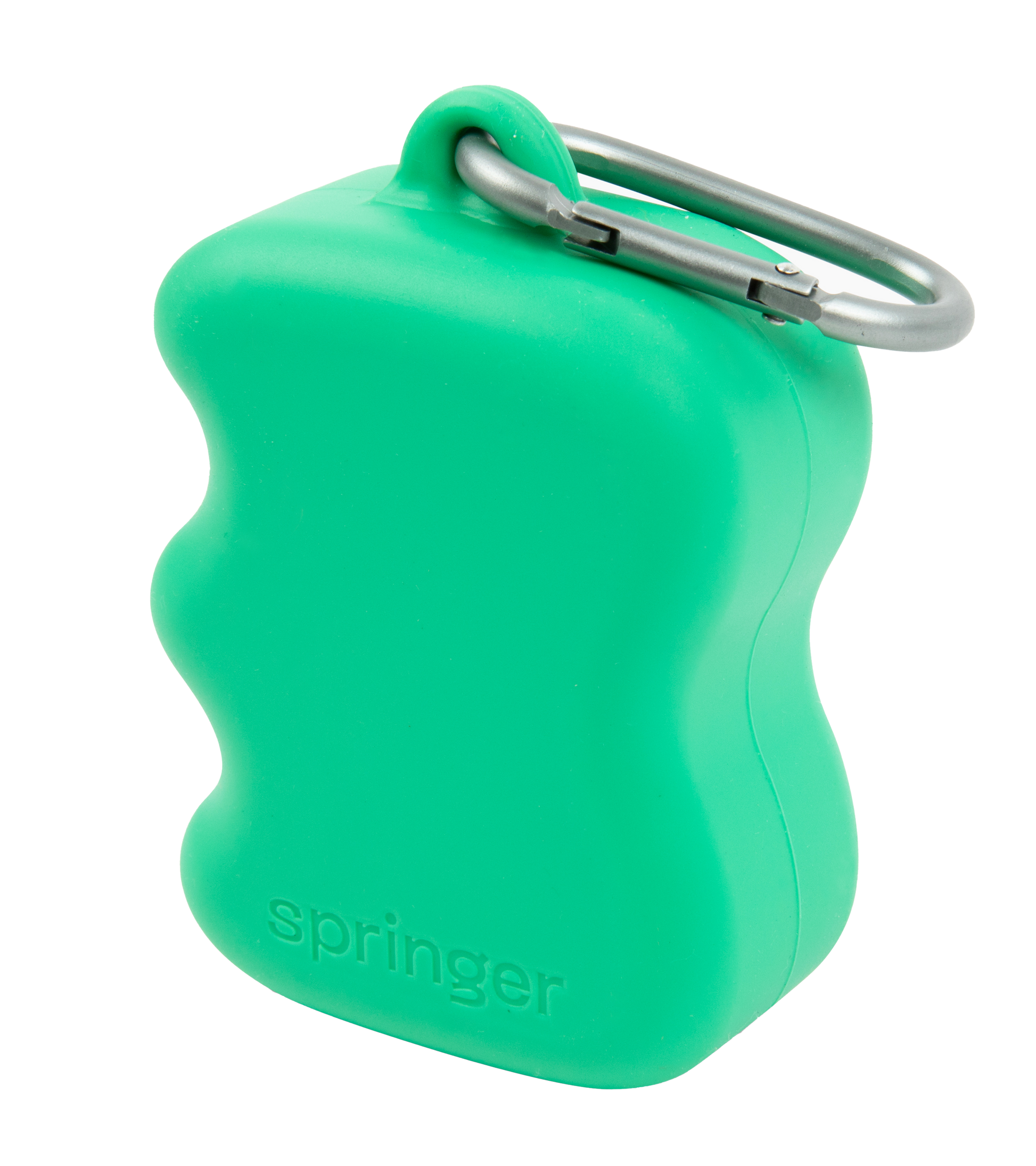 Silicone Dog Treat Dispenser Springer Green