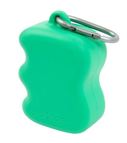 Silicone Dog Treat Dispenser Springer Green