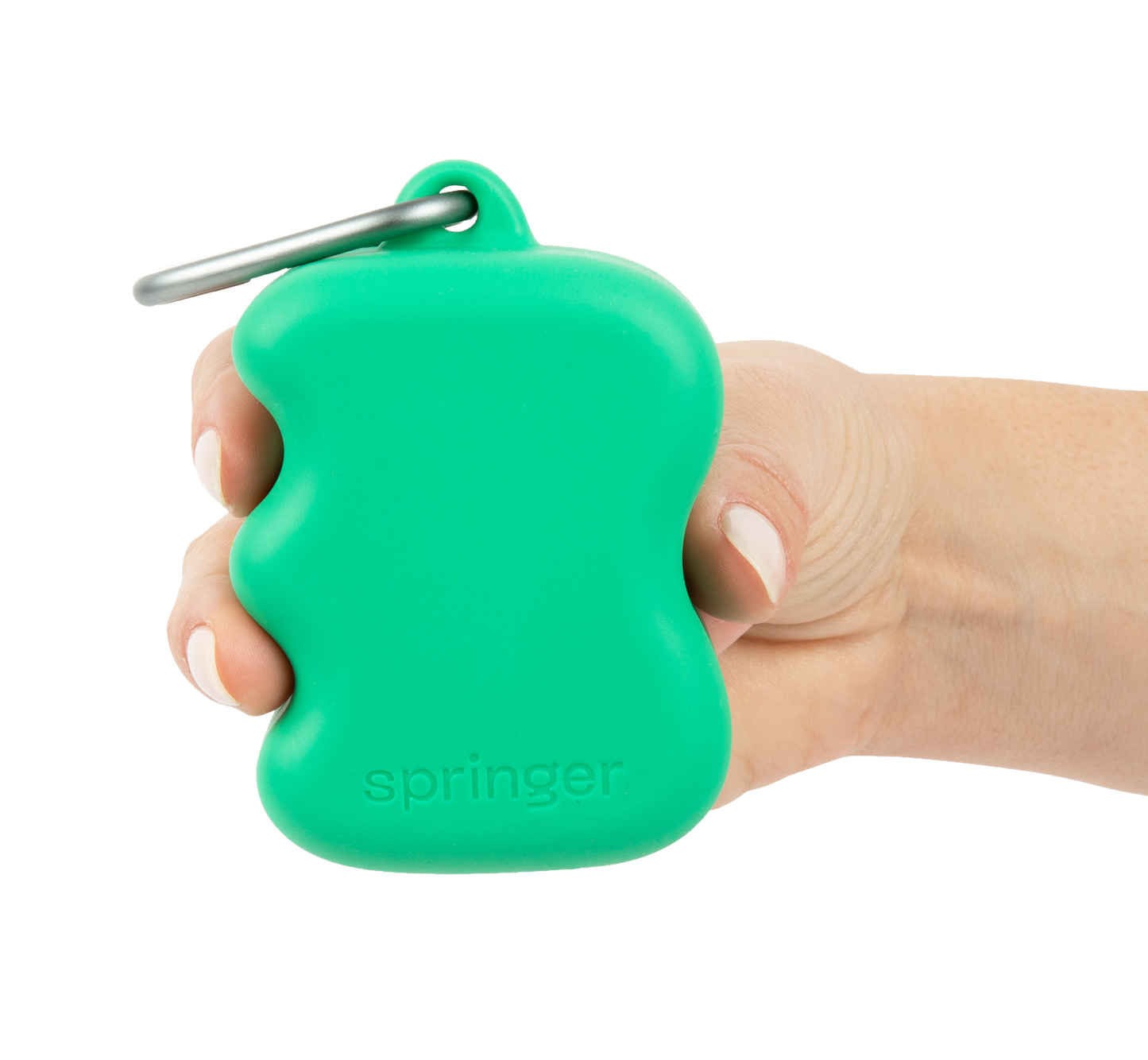 Silicone Dog Treat Dispenser Springer Green