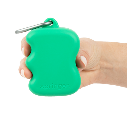 Silicone Dog Treat Dispenser Springer Green