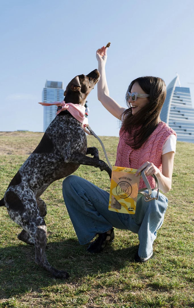 화이트 피쉬 저키 - 박스(6개입)